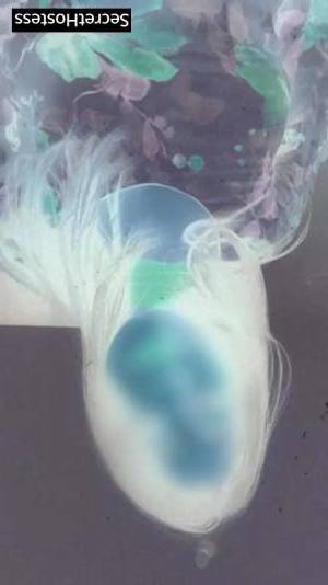 23 year old Escort in Hong Kong Discover the Steamiest Passion with Eloise Let Your Wildest 