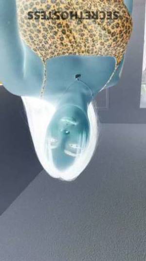 ashly❤️‍? 23Yrs Old Escort Daytona FL Image - 2