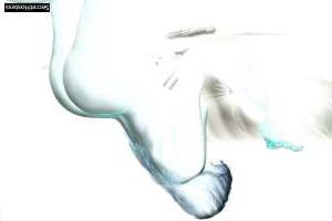 20 year old Escort in Ottawa Massage Specialist Sasha Heats Things Up at Paradise Spa and