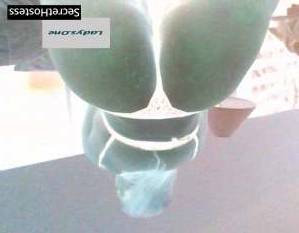 20Yrs Old Escort 78KG 167CM Tall Salt Lake City UT Image - 3