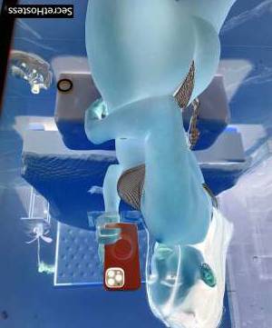 23Yrs Old Escort 72KG 172CM Tall Dallas TX Image - 1
