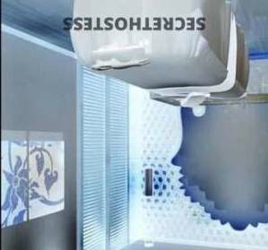 25Yrs Old Escort Adelaide Image - 2