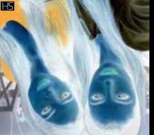 30 year old Latino Escort in Limerick Shannon Limerick Massage