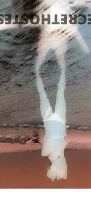 32 year old Australian Escort in Sunshine Coast Australian Made