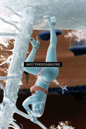 Babara Escort 58KG 163CM Tall independent escort girl in: Albufeira Image - 3