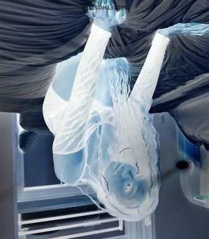 Kayla Escort 165CM Tall Spokane WA Image - 1