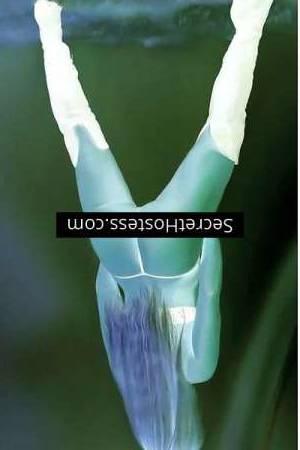 42 year old Caucasian Escort in Birmingham Sam 42Yrs Old Caucasian Escort Blond Blue Eyes B Cup 54KG 