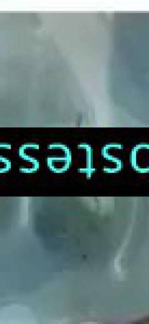 28 year old Latino Escort in New Haven CT ExperienceUnforgettable Bliss with TS Lorena in the New 