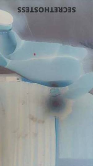 25 year old Middle Eastern Escort in San Fernando Valley CA Experience the Exotic Sensuality of the Middle Eastern 