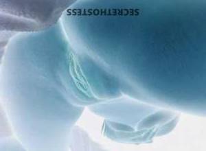 25Yrs Old Escort Clarksville TN Image - 6