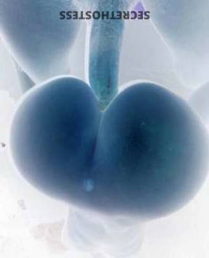 28 year old Asian Escort in San Luis Obispo CA Asian BBW Escort Ready for Your Naughtiest Fantasies, VIP 