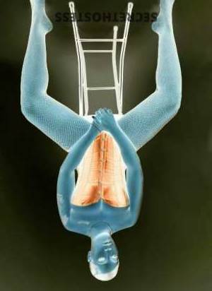 23 year old Escort in San Francisco CA Experience the Best Satisfaction Guaranteed Hire Angel, the 