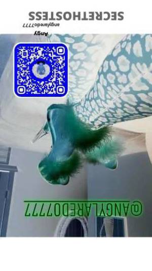 Angy 30Yrs Old Escort Laredo TX Image - 1