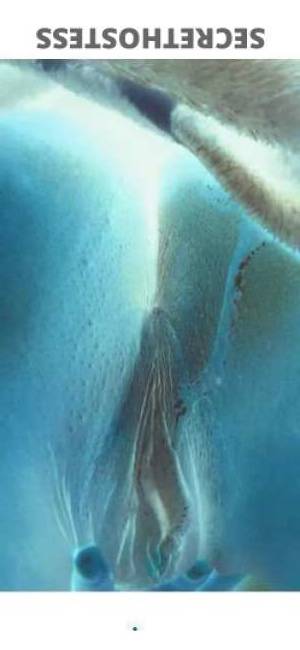 Gingerella 31Yrs Old Escort Central Michigan MI Image - 1