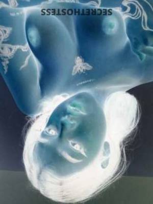 Unleash Your Wildest Fantasies with Megan, the Vicious Vixen in Northern Michigan MI