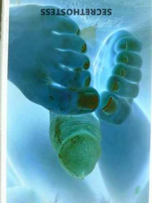 Melina 25Yrs Old Escort Bradenton FL Image - 1