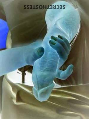 Melina 25Yrs Old Escort Bradenton FL Image - 3