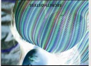 26 year old Escort in New Haven CT Experience Blissful Pleasure Unforgettable Escort Services 