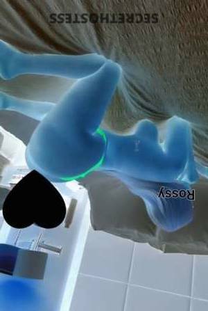 29 year old Dominican Escort in Westchester NY Rossy heretm/real/ with a hammer! no fakes on this site, 