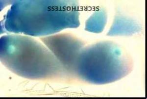 Tam 36Yrs Old Escort Montgomery AL Image - 2