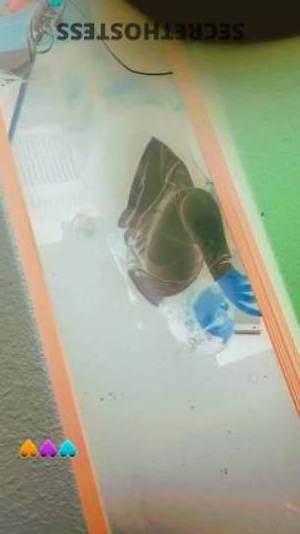 ?THICKYThickGirl? 27Yrs Old Escort Little Rock AR Image - 8