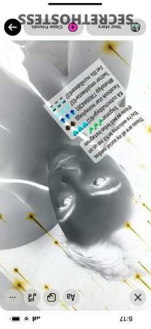 43Yrs Old Escort Lowell MA Image - 11