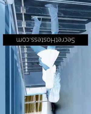 22Yrs Old Escort 167CM Tall Sydney Image - 4