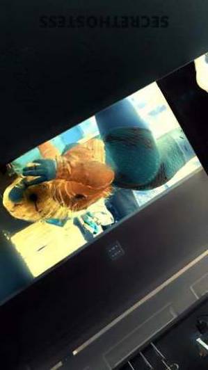 22Yrs Old Escort Inland Empire CA Image - 2