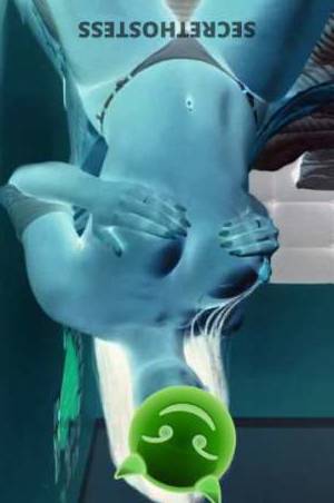 23Yrs Old Escort Jacksonville FL Image - 2