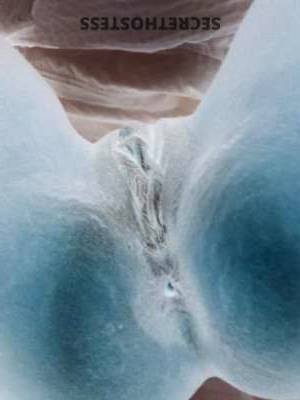 25 year old Dominican Escort in Columbia SC 25 Year Old Dominican Princess in South Carolina for Naughty