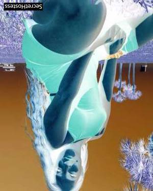 27Yrs Old Escort 44KG Miami FL Image - 3