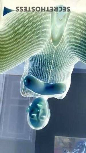 30 year old Asian Escort in Virginia Beach VA Horny Asian girl offers unfulfilled body massage