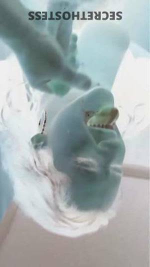 35Yrs Old Escort Virginia Beach VA Image - 3