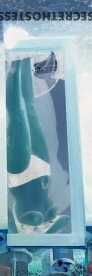 AmberNicole 35Yrs Old Escort Dayton OH Image - 4