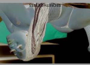 Bubbles 29Yrs Old Escort Auburn AL Image - 2