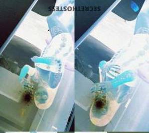 25 year old Dominican Escort in Virginia Beach VA New MILF Dominican just arrived