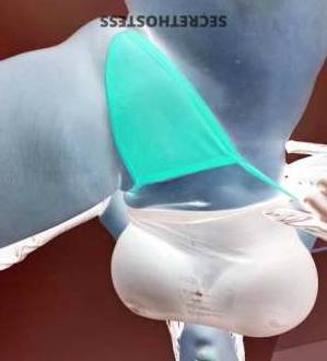 Ebony 27Yrs Old Escort Milwaukee WI Image - 5