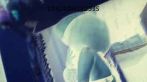 Honey 30Yrs Old Escort Macon GA Image - 2