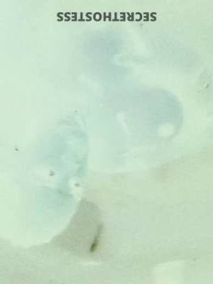 HoneyBear? 26Yrs Old Escort Eastern Kentucky KY Image - 8