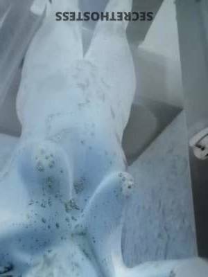 KASH 30Yrs Old Escort Charlotte NC Image - 7