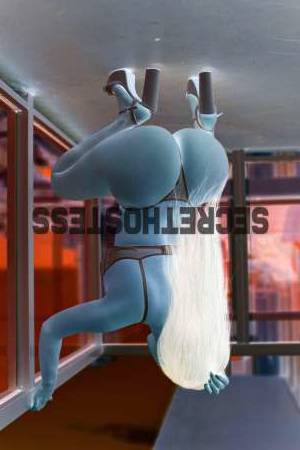 Karina Escort 58KG 162CM Tall Chicago IL Image - 2