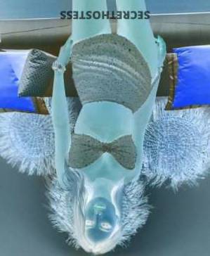 Katy 27Yrs Old Escort Orange County CA Image - 3