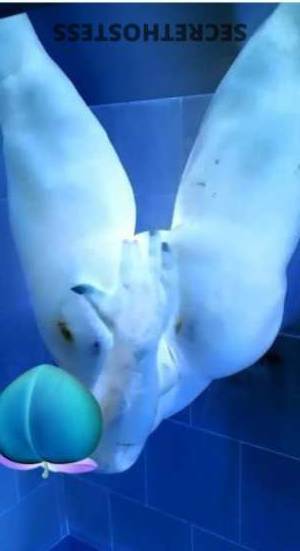 25 year old Escort in Milwaukee WI " Indulge in Delicious Delights with Monica, the Sweet 