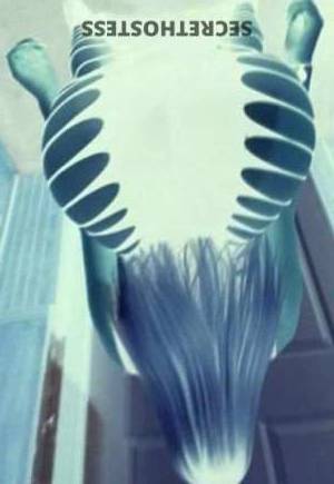 Presley 30Yrs Old Escort Wichita KS Image - 2