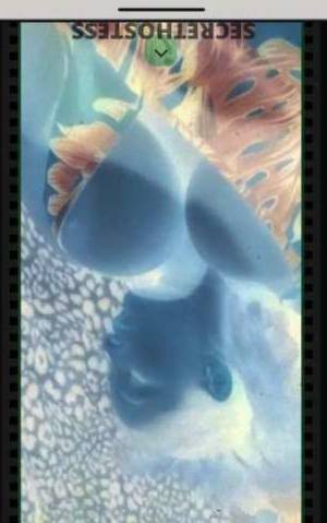 Stellasnow 30Yrs Old Escort San Francisco CA Image - 3