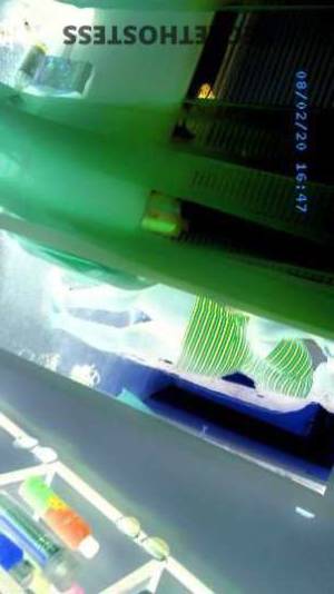 Trinity 24Yrs Old Escort Wilmington DE Image - 4