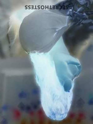 Velvet&? 32Yrs Old Escort Treasure Coast FL Image - 3