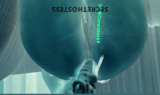 CiCi 25Yrs Old Escort Northwest CT Image - 3