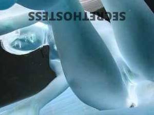 19 year old Asian Escort in Queensbury NY 19-Year-Old Asian Escort in Queensbury, NY Provides 