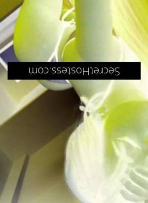 21Yrs Old Escort Size 8 Brisbane Image - 2